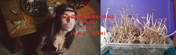 твердый Беломорск
