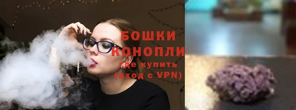 PSILOCYBIN Белокуриха