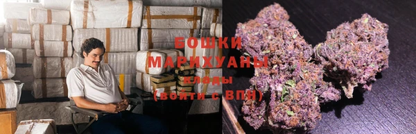 PSILOCYBIN Белокуриха